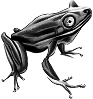 Images https://libmind.github.io/img/b27_the_magic_of_reality/images/000011.jpg