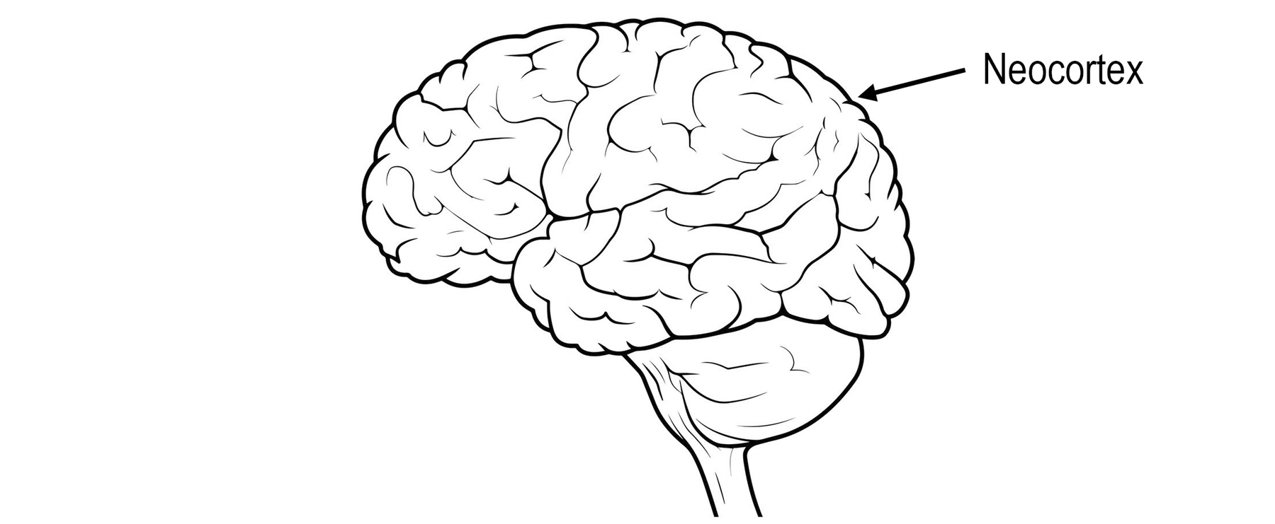 image https://libmind.github.io/img/e10_a_thousand_brains/images/000001.jpg