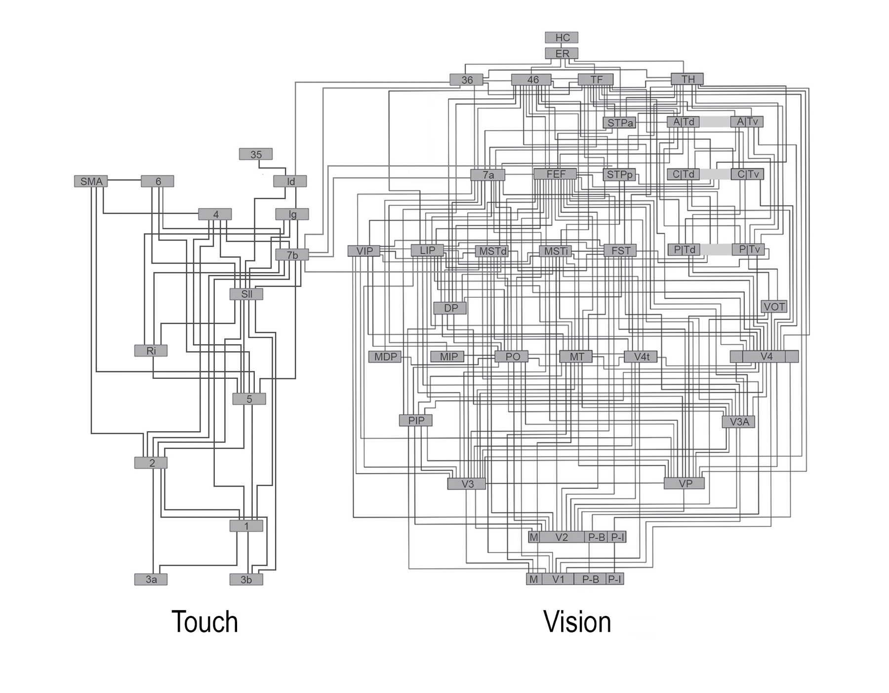 image https://libmind.github.io/img/e10_a_thousand_brains/images/000007.jpg